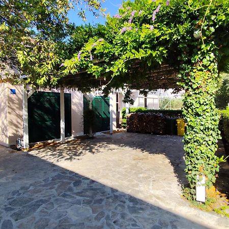 Apartment Wisteria ロゴズニッツァ エクステリア 写真