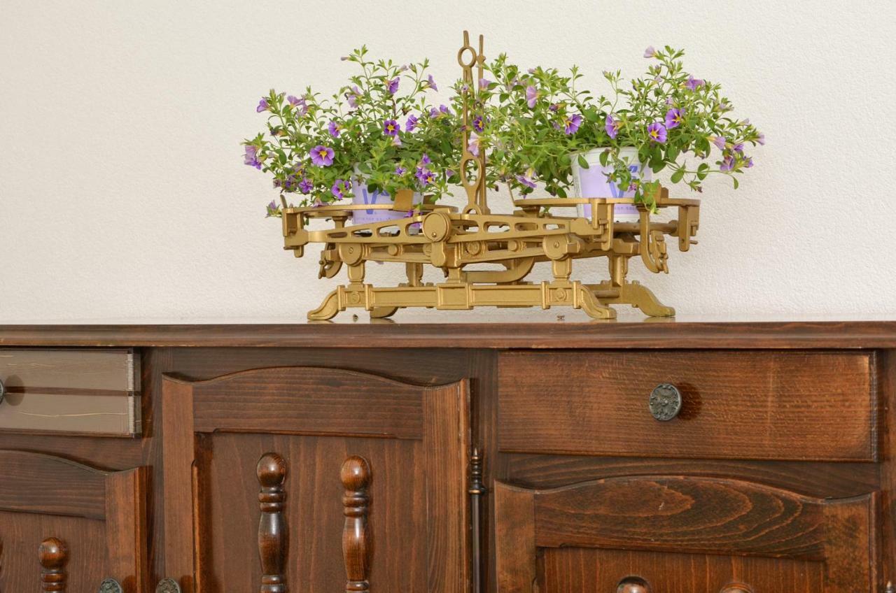 Apartment Wisteria ロゴズニッツァ エクステリア 写真